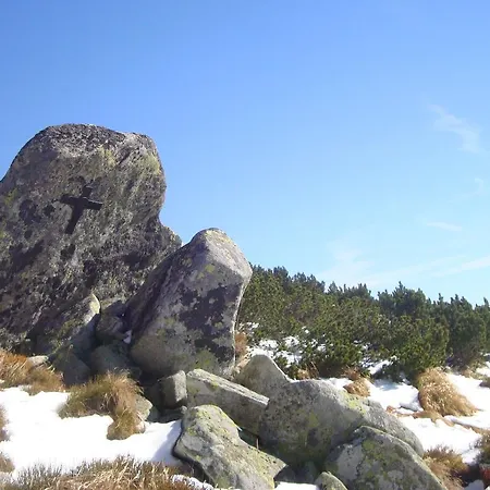 Penzión pre hostí Vila Horal 3*