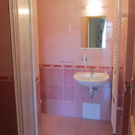 Guest house Vila Horal *