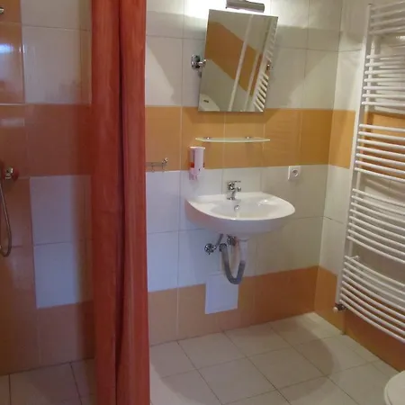 Penzión pre hostí Vila Horal 3*